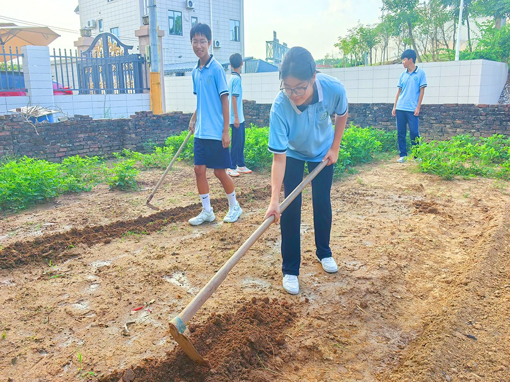 江苏常州正规青少年素质培育学校推荐指南